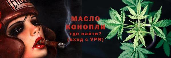 гашик Дмитриев