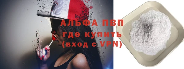 гашик Дмитриев
