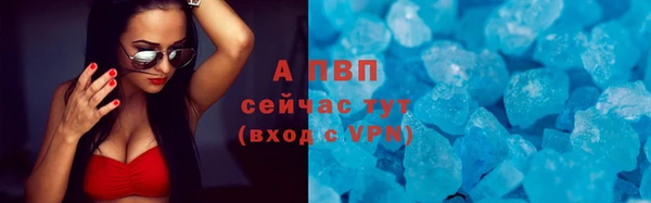 ECSTASY Дмитров