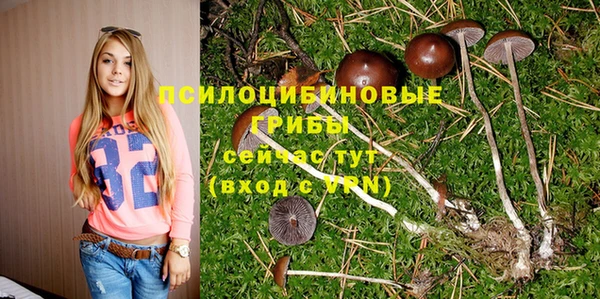 мефедрон мука Дмитровск
