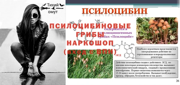 гашик Дмитриев