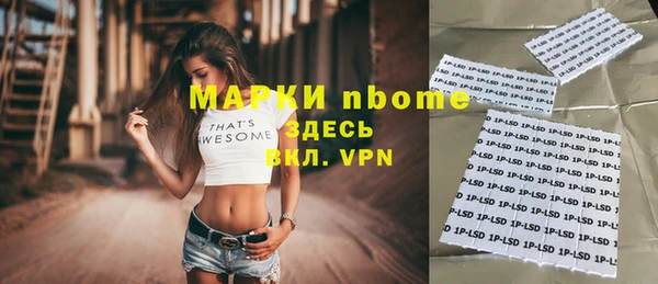гашик Дмитриев