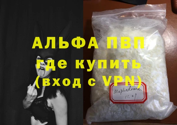 гашик Дмитриев