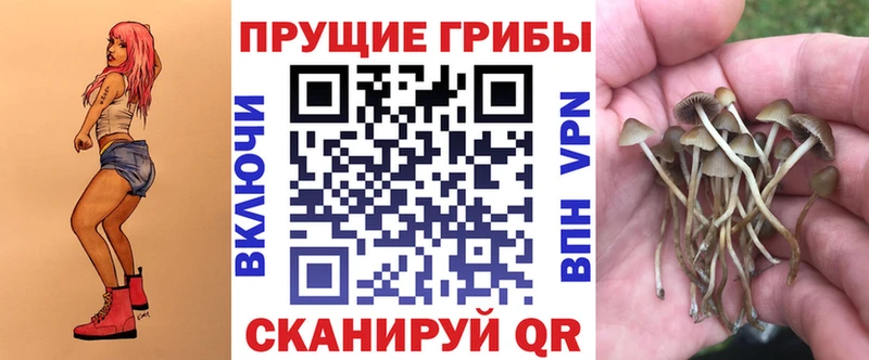Купить  Еманжелинск  Псилоцибиновые грибы MAGIC MUSHROOMS 